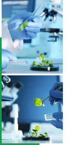 創(chuàng)新驅(qū)動(dòng)，智領(lǐng)未來(lái)——我們的企業(yè)簡(jiǎn)介